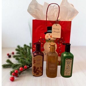 XMS-12 Vanilla Bean Noel, Pumpkin Cupcake,& Autumn Drive Body Hand Soap Gift Set